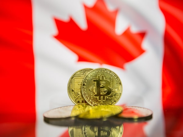 Fintech Harbor Consulting | How Much Does A Crypto License In Canada Cost?