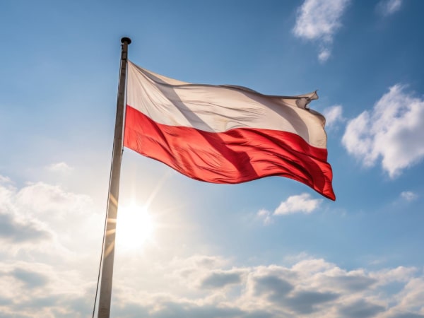 Fintech Harbor Consulting | How foreigner can open company in Poland